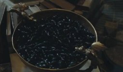 Licorice_Snap.jpg