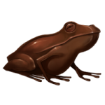Chocogrenouille_pottermore.png